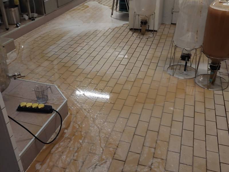 20240921_000039.jpg 20240921_000039.jpg